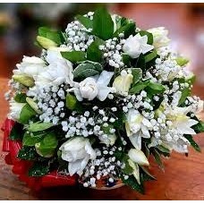MEDIUM BASKET OF JASMINE